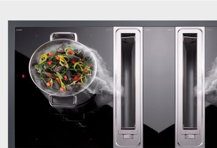 PuriVent DOMINO filter voor kookplaat met ingebouwde afzuiging - 800 m3/h - 220 x 90mm PuriVent DOMINO filter voor kookplaat met ingebouwde afzuiging - 800 m3/h - 220 x 90mm