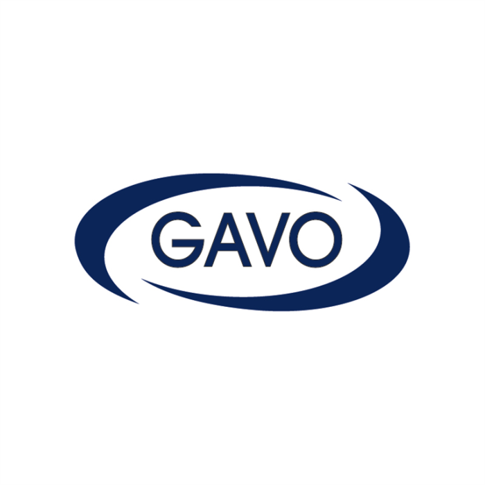 GAVO SPECIAL GAVO SPECIAL